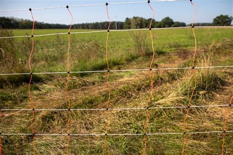 electric fence around yard illegal